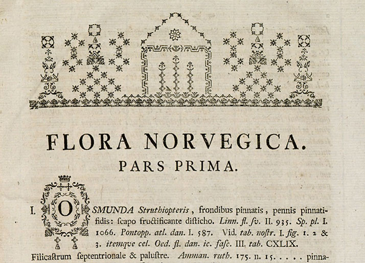 Flora Norvegica, trykt av Winding 1776.